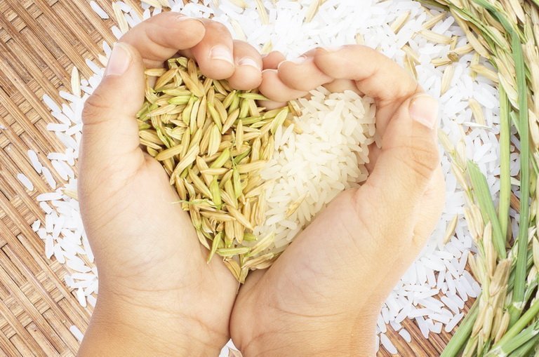 Польза риса для сердца