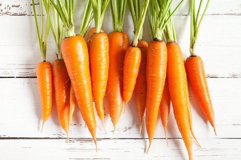 Морковь – польза и вред для организма мужчин и женщин