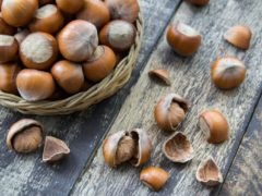 Орехи фундук: польза и вред для организма