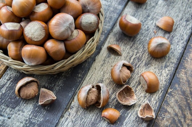 Орехи фундук – польза и вред для организма