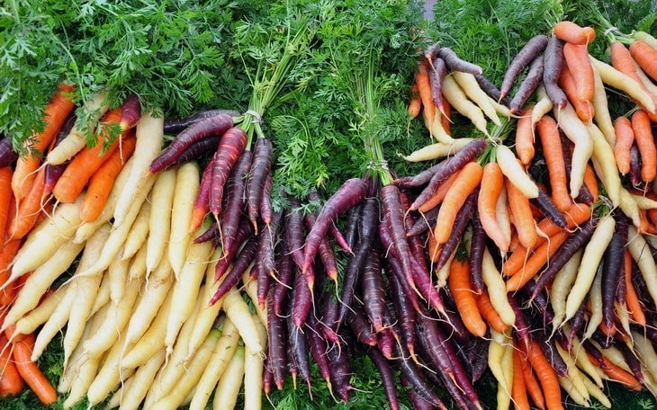 Различные виды моркови