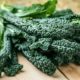 14 самых полезных зеленых листовых овощей