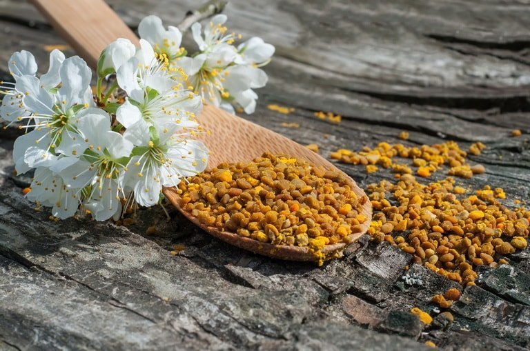 Пчелиная пыльца – полезные свойства, как принимать