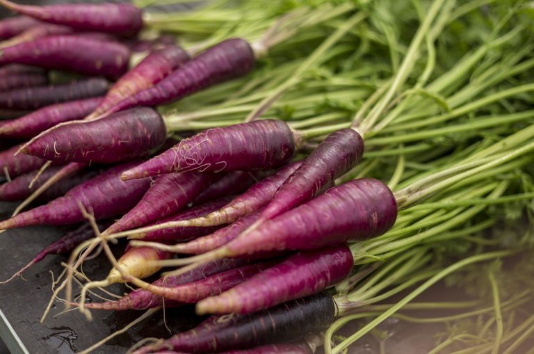 Полезна ли фиолетовая морковь?