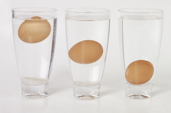 Как определить испорченное яйцо в воде