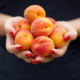 7 Полезных свойств абрикосов, подтвержденных наукой