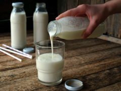 Что приготовить из испорченного молока и можно ли его пить?