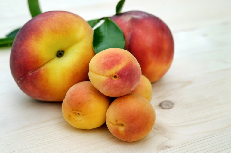 Чем отличаются персики от абрикосов?
