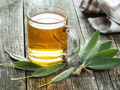 Чай из шалфея: польза и вред для женщин и мужчин