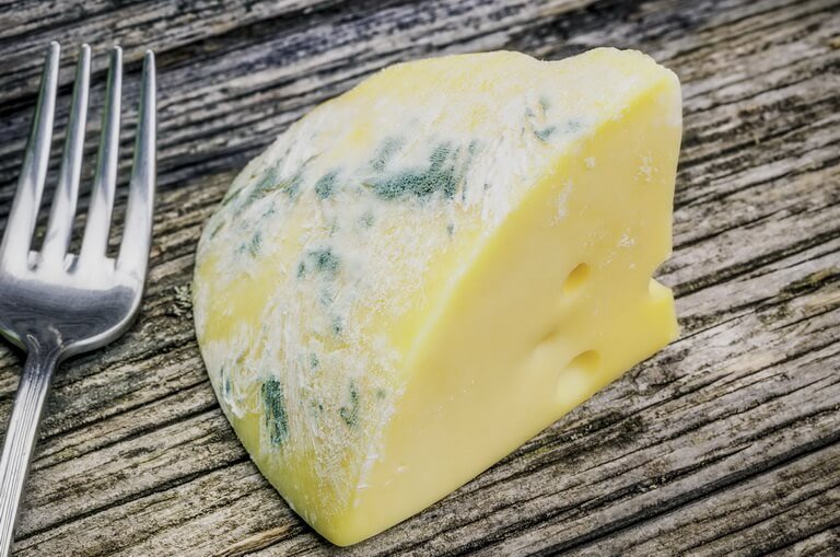 Сыр покрылся плесенью: можно ли его есть?