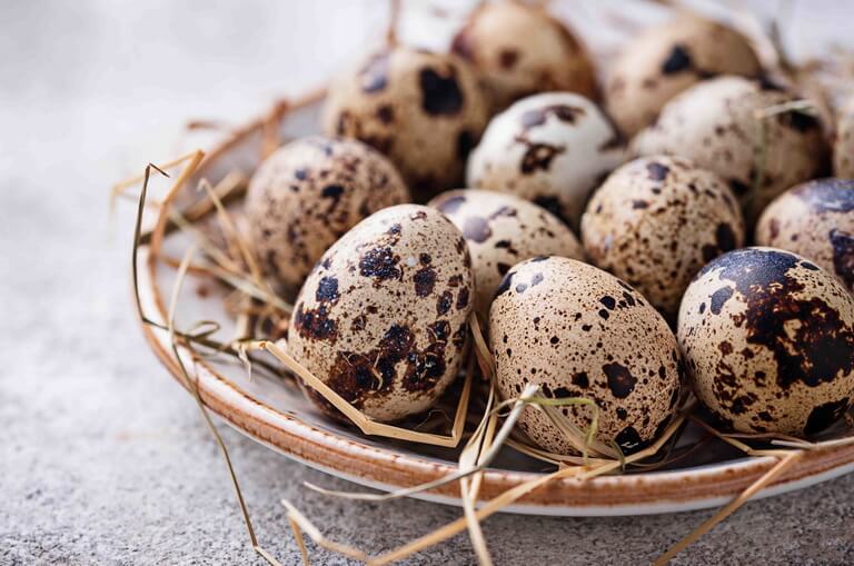 Перепелиные яйца: польза и вред для мужчин и женщин