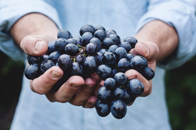 6 Уникальных полезных свойств черного винограда