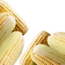 Кукуруза: польза и вред для здоровья, калорийность