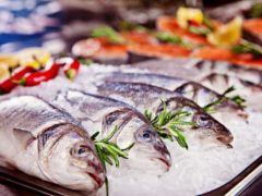 Жирные сорта рыбы: список, польза для здоровья