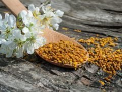 Пчелиная пыльца: полезные свойства, как принимать