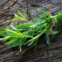 Эстрагон (тархун) трава: свойства и применение