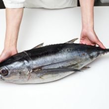 Ртуть в тунце: безопасна ли эта рыба для употребления?