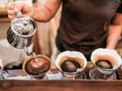 Миф о микотоксине: правда о плесени в кофе
