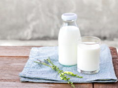 Чем полезно молоко для здоровья? Польза и вред
