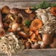 Защищает ли употребление грибов здоровье мозга?