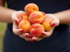 7 Полезных свойств абрикосов, подтвержденных наукой