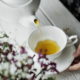 Чай ханибуш: полезные свойства и противопоказания