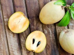 Саподилла (фрукт): польза и вред, как едят
